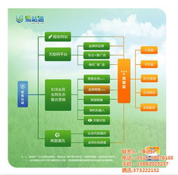 网络推广软件与信息技术咨询服务助力建湖企业发展